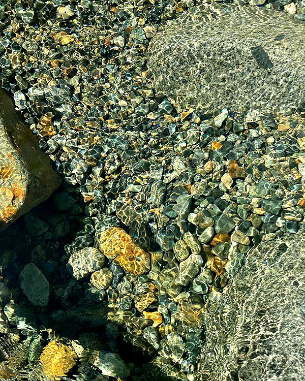 taratornquist instagram image archive image