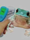 ellaexplicit_ Altpins Profile Picture