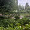 _dead__cherry_ Altpins Profile Picture