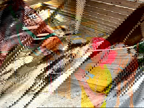 missnyxdawn missnyxdawn archive image