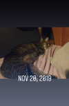 mirekyarahire Altpins Profile Picture