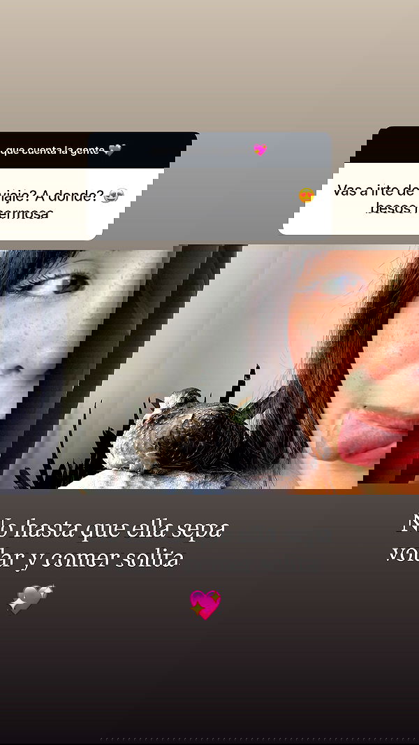 shunli__mei shunli__mei archive image