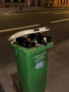 rosessativa Altpins Profile Picture