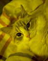 catl0verr69 Altpins Profile Picture