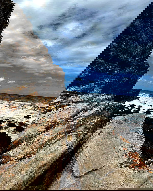 taylor.creeden taylor.creeden archive image