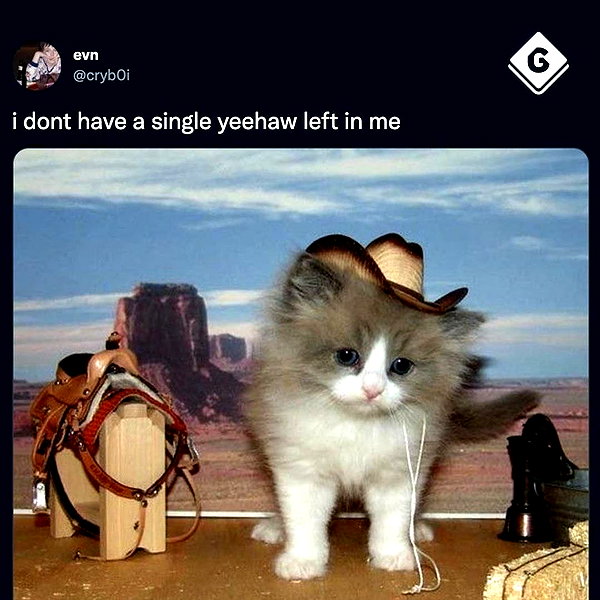 leanbeefpatty instagram image archive image