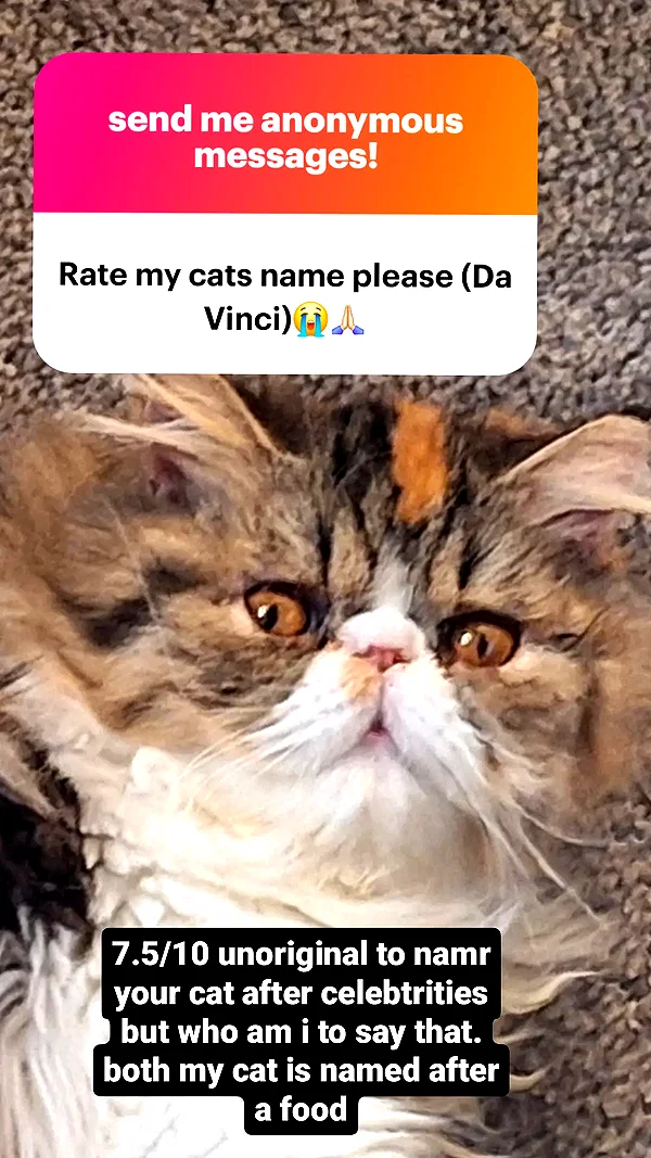 mirekyarahire instagram image archive image