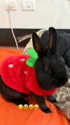 efrat_elmalich Altpins Profile Picture