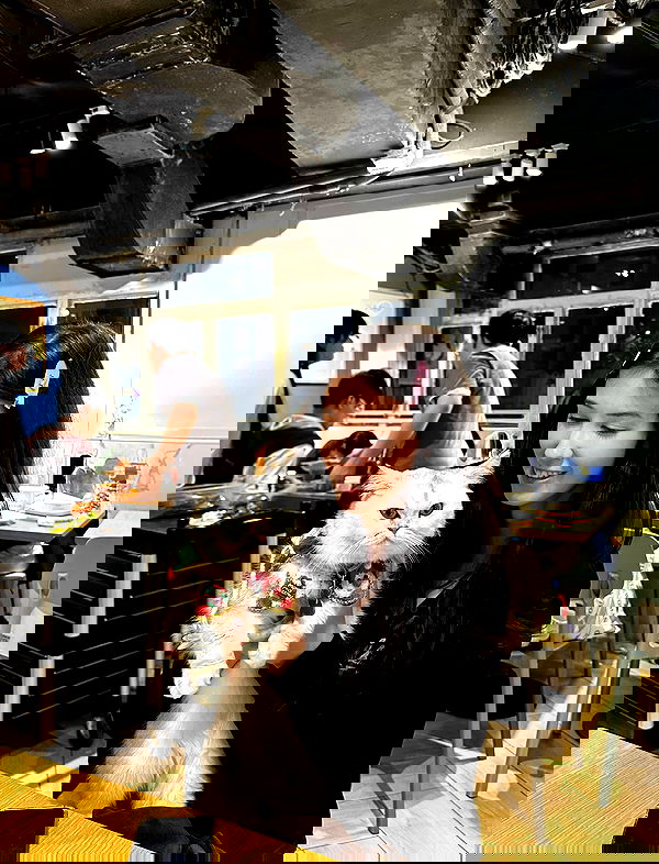 hanna_ky hanna_ky archive image