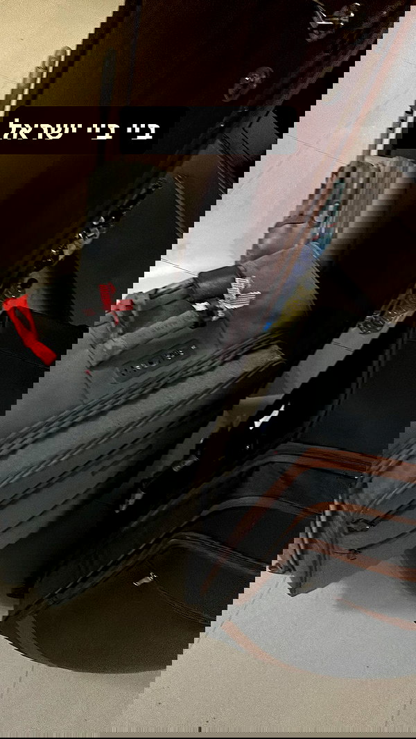 sapir_shemer sapir_shemer archive image