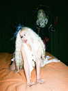 xtina Altpins Profile Picture