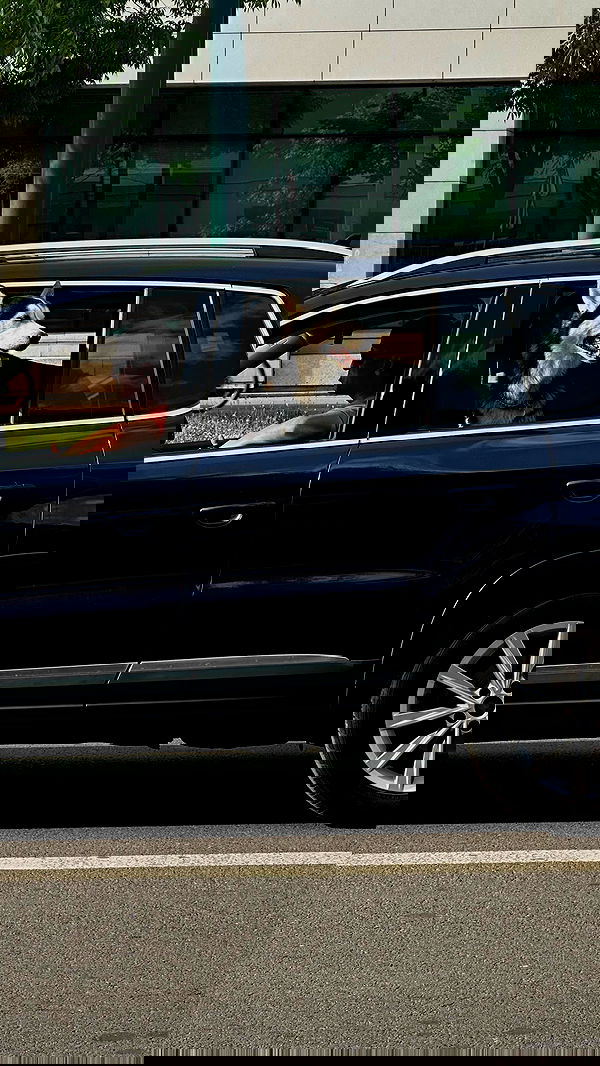 manjolamuriqi manjolamuriqi archive image