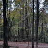 fallen.angel2007 Altpins Profile Picture
