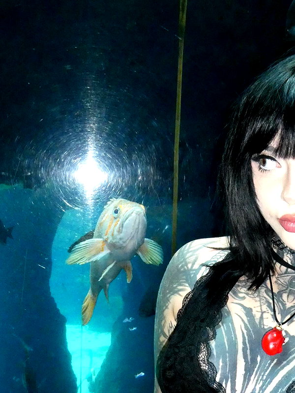 xtripleceleste instagram image archive image
