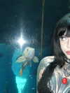 xtripleceleste Altpins Profile Picture