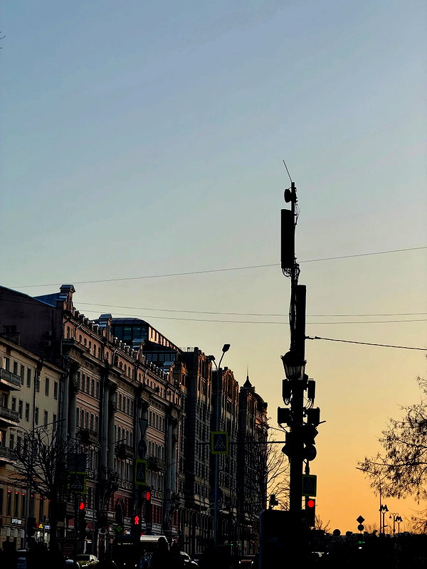 alishevs instagram image archive image