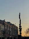 alishevs Altpins Profile Picture