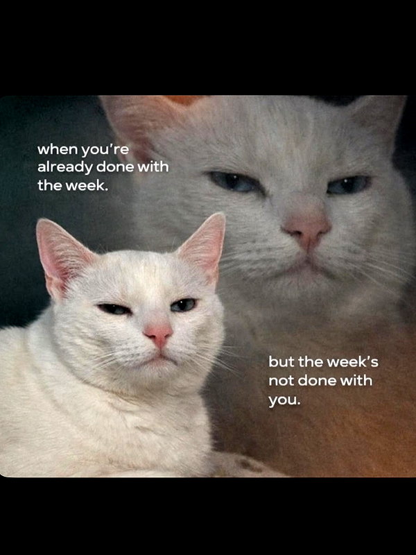 ellaexplicit_ instagram image archive image