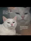 ellaexplicit_ Altpins Profile Picture