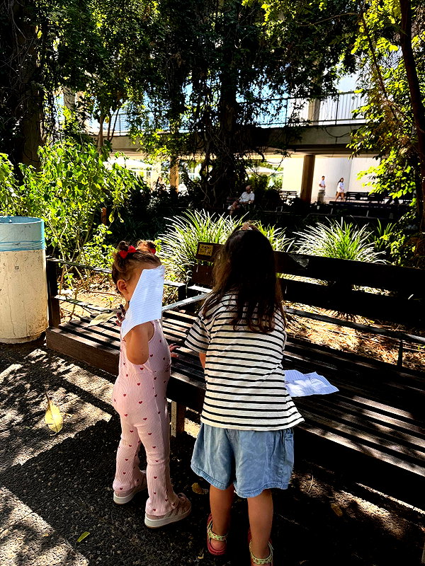 barzomer instagram image archive image