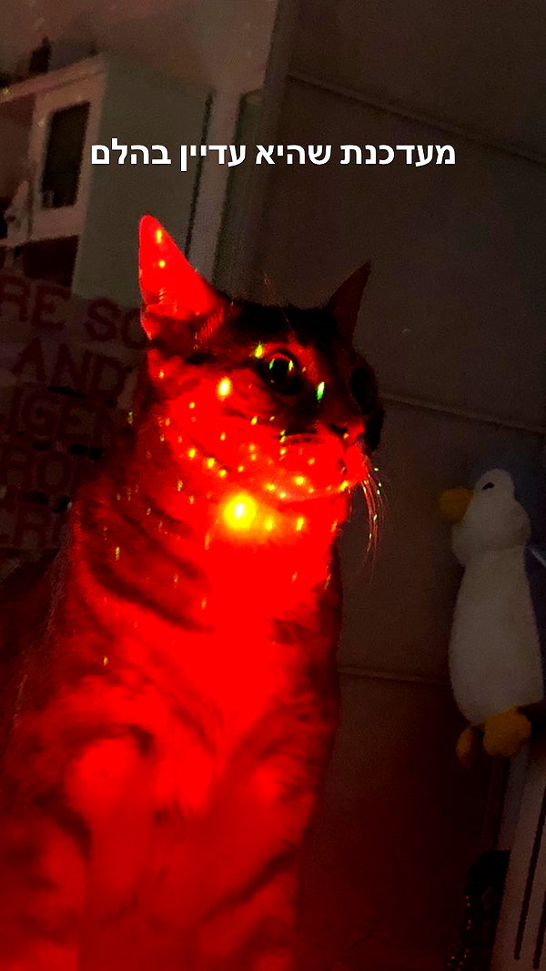 Archived image from @notchicore on Instagram