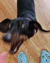 carmaxlla Altpins Profile Picture