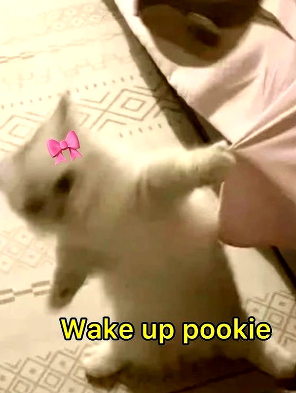 milkiwifey instagram image archive image
