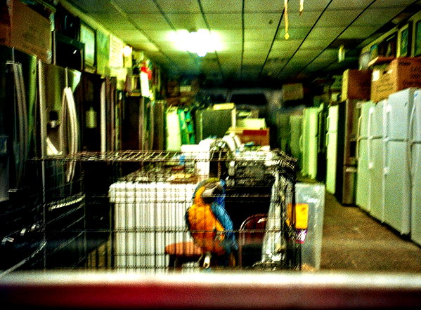 bugz4brainz instagram image archive image