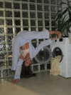 ariana_vomi Altpins Profile Picture