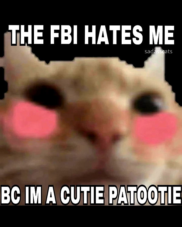 leanbeefpatty instagram image archive image