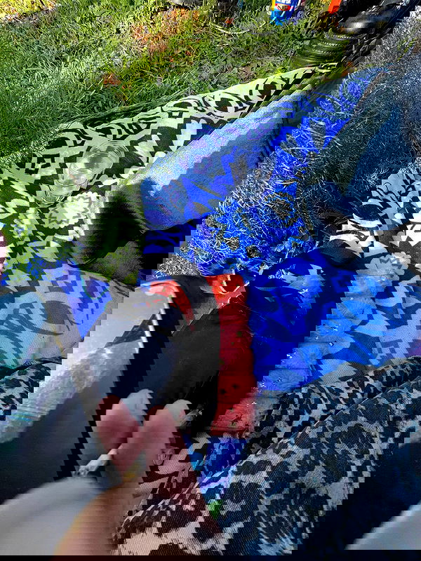 strawberryshanz strawberryshanz archive image