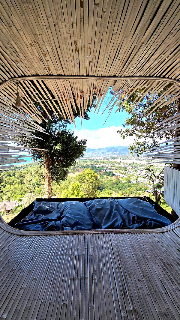 barzomer instagram image archive image