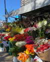 solzarubin_ Altpins Profile Picture