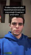 swholeanimal Altpins Profile Picture