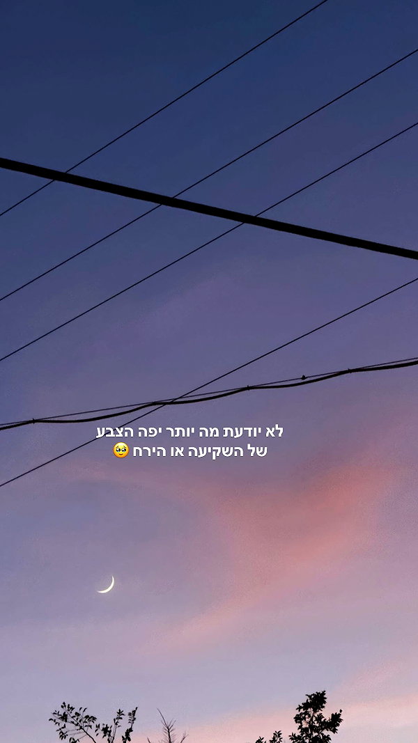 gal__wolfson instagram image archive image