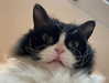 777pb_ Altpins Profile Picture