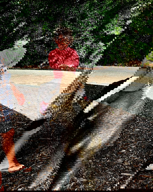 jtilb2 image ~ Altpins