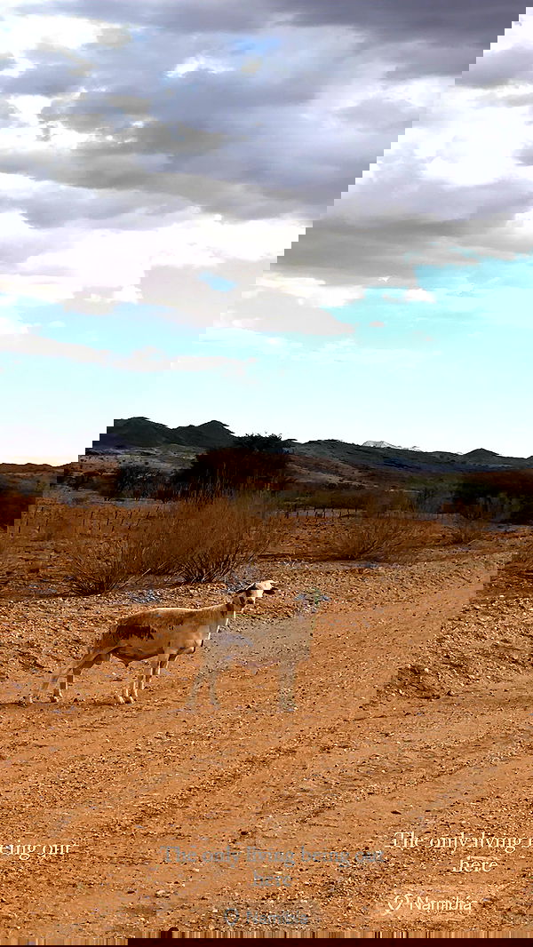 taylor.creeden taylor.creeden archive image