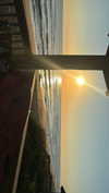olivia.bolgerr Altpins Profile Picture