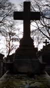 elizabethcampbelljones Altpins Profile Picture