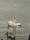 ll.lu1s Altpins Profile Picture