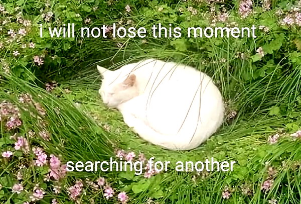 maiden_lifts instagram image archive image