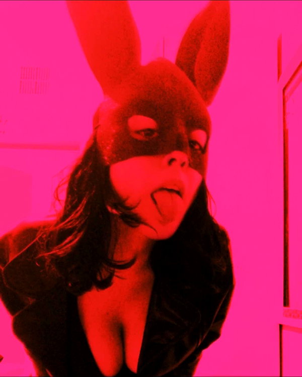 onlmeow onlmeow archive image