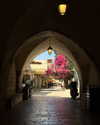 roni_ackerman Altpins Profile Picture