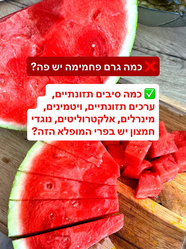 lital.oss instagram image archive image