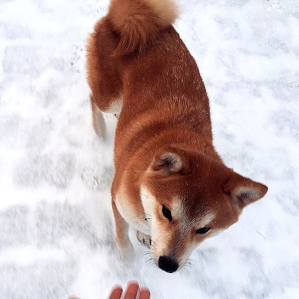 kafelnikova_a instagram image archive image