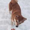 kafelnikova_a Altpins Profile Picture