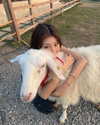 ll.lu1s Altpins Profile Picture