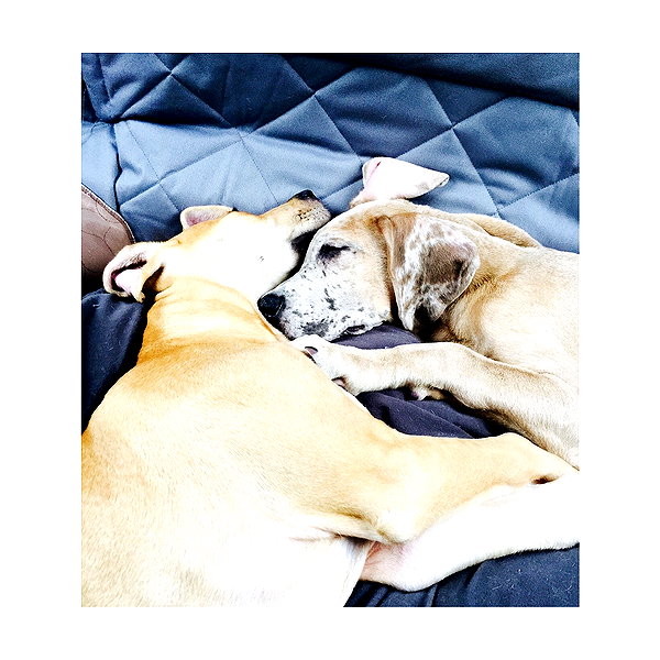 sashapieterse instagram image archive image