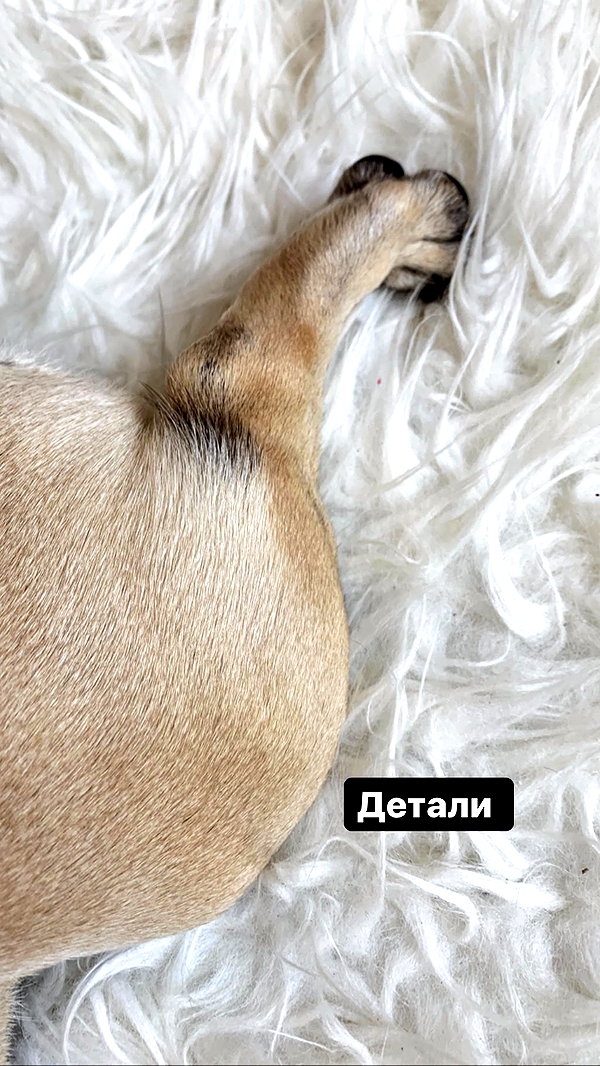 nyiityam instagram image archive image